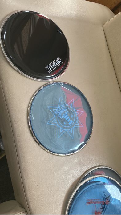 Folii de tarabana Alexandria