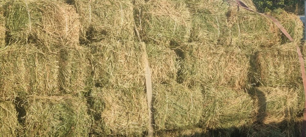 Жонышка люцерна прес