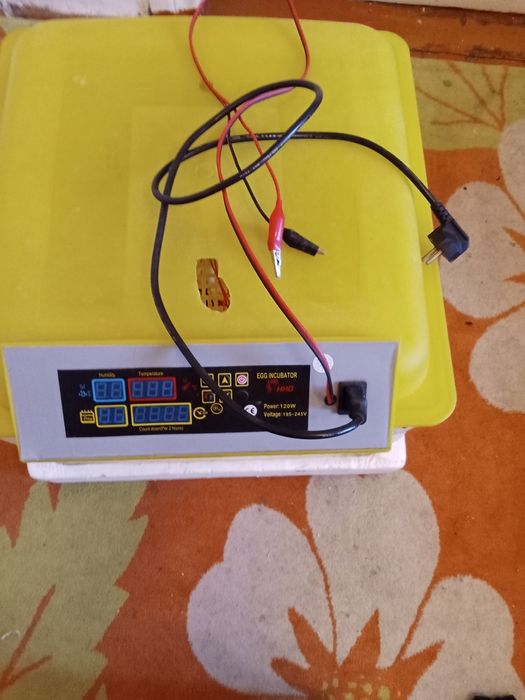 Инкубатр для яйц