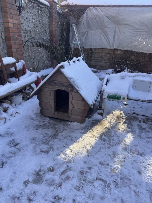 Будка для крупной собаки