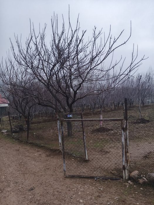 Uy sotladi srochni дом прадаётса срочни