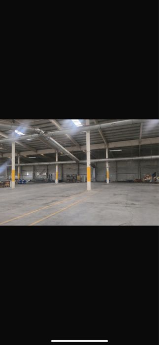 Hala de vanzare sau inchiriere