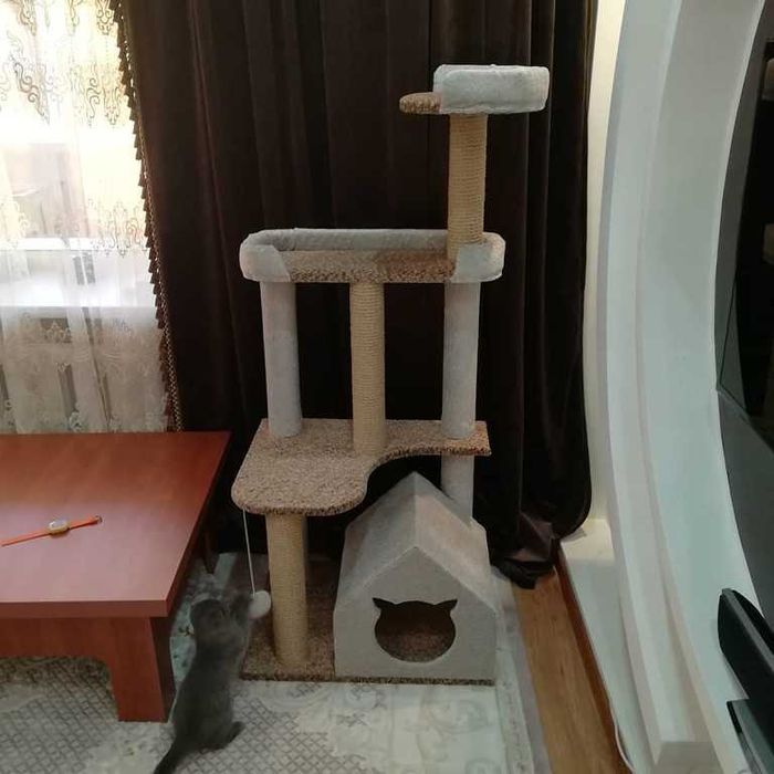 Когтеточки для кошек