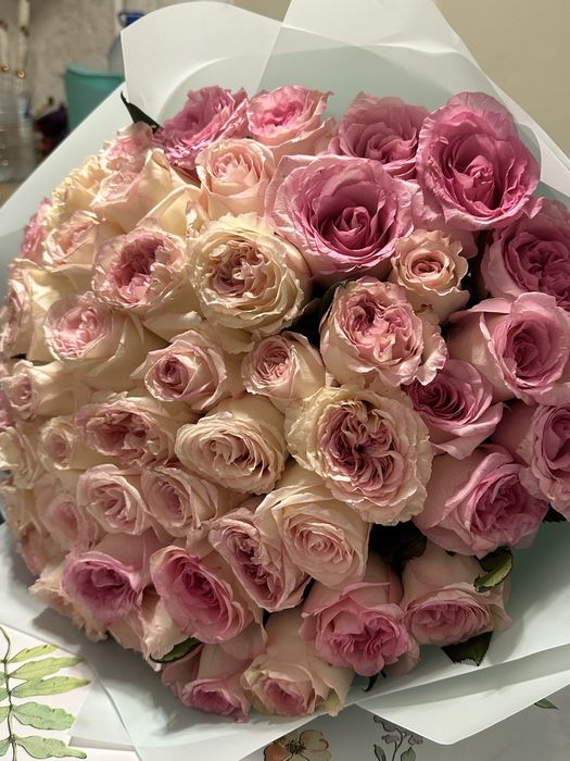 Розы цветы свежый