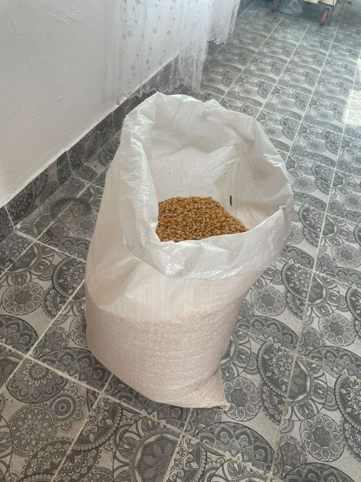 Попкорн кукуруза