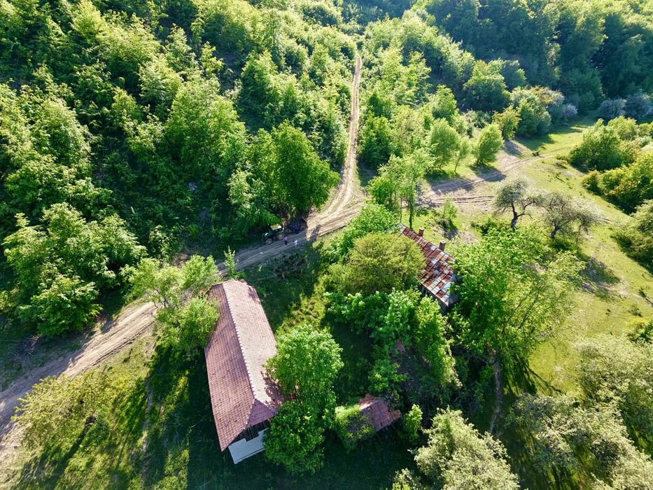 Casă de vânzare + teren 15 ari – zonă liniștită lângă pădure (Unguraș, jud. Cluj)