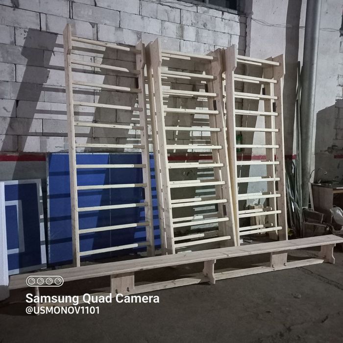 Атлетика барери шведская стенка