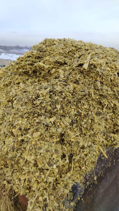 Силос кукурузный с даставкой