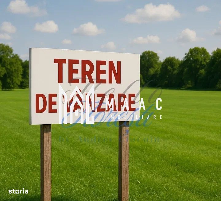 Teren 2317 mp INVESTITIE Sibiel