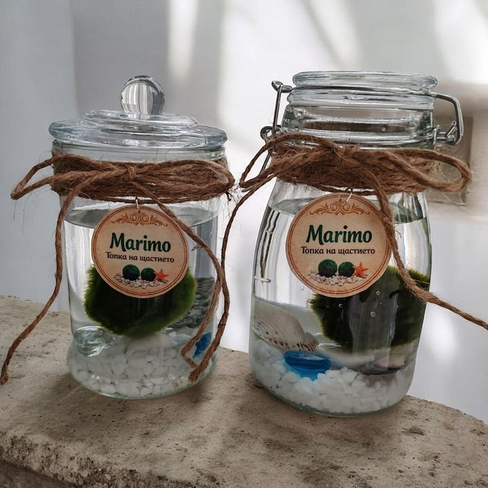 Marimo Топче на щастието