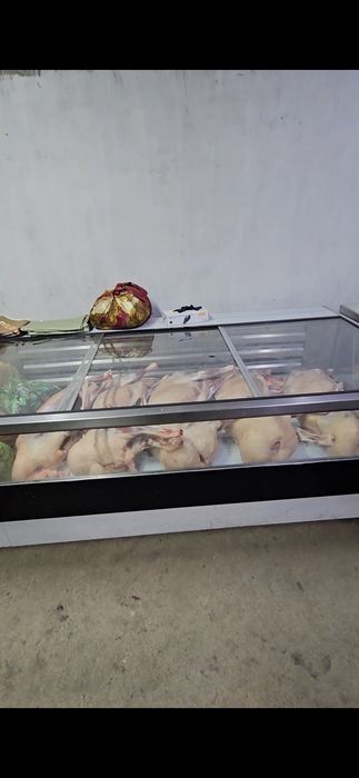 Қозы сатылады қой