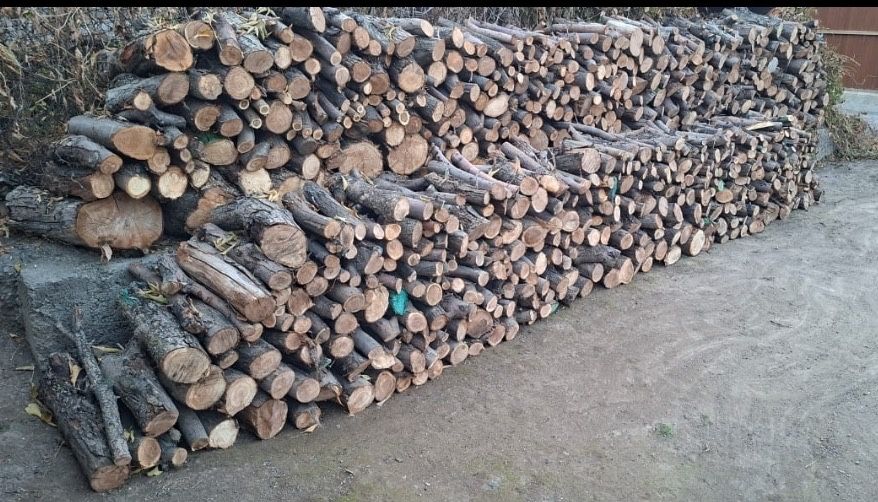 Продам Дрова из яблони