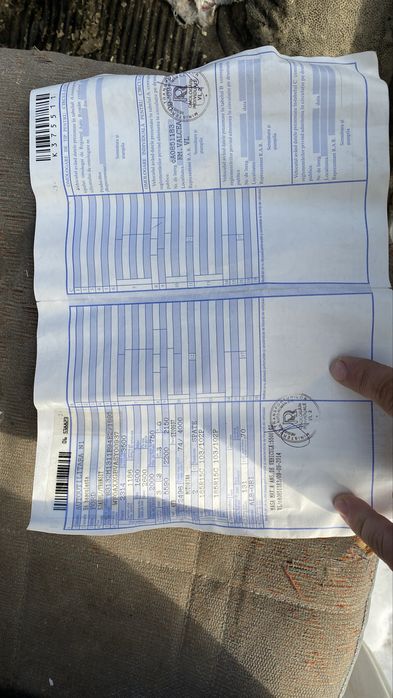 Ford tranzit bascilabil