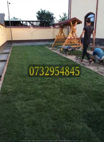 Gazon Natural de Calitate – Rezistent și Elegant