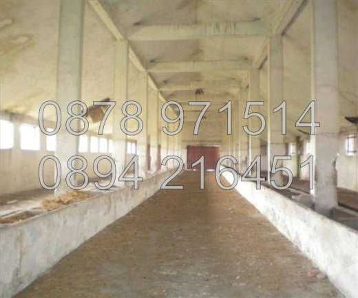 Продава се Промишлена сграда в с. Маноле, Област Пловдив - 1200 кв.м за 92 €/кв.м - Снимка #7