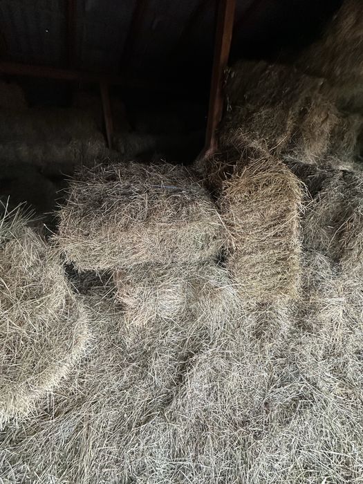 Vând baloti fân din