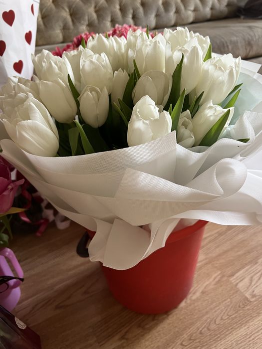 Тюльпаны свежие белые