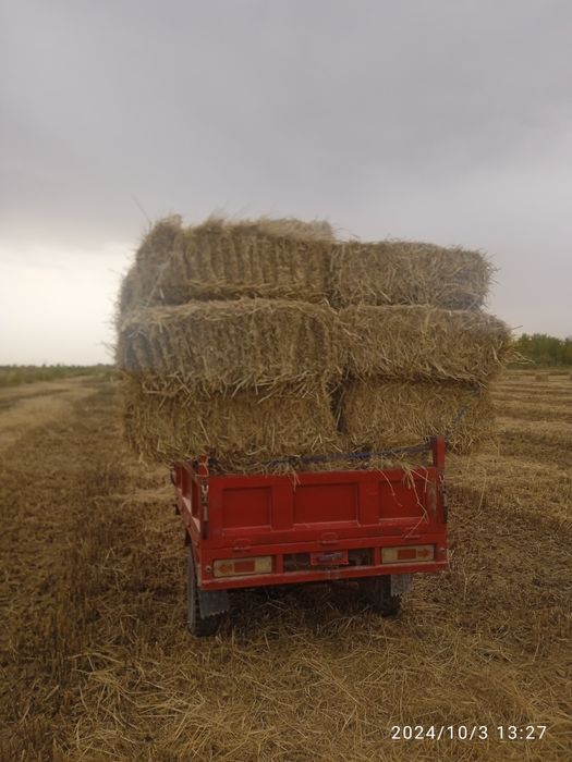 Хамкор мотсакил сотилади нархи 22 млн манзил хоразм вилойати