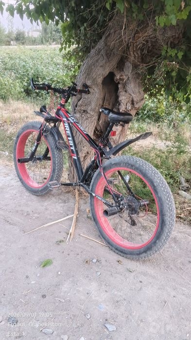 Velik sotiladi 1 oy bulgan yangi