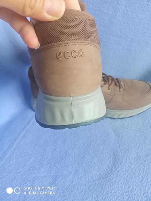 Ecco coretex номер 41.