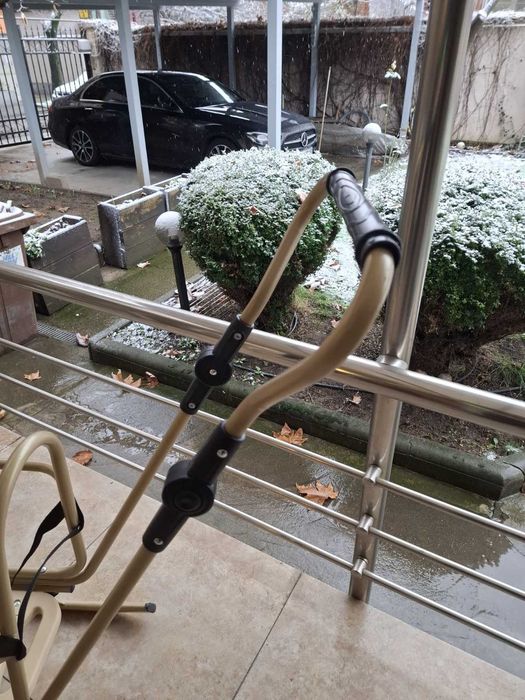 Шейна - Piccolino