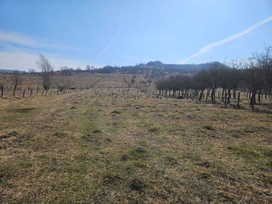 Vand casa cu livada  in Berevoesti Arges
