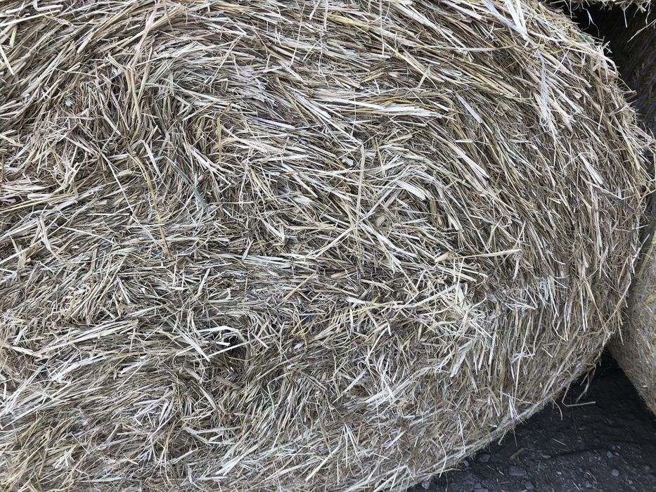 ПРОМОЦИЯ -Сенаж- 80 лв на тон ,  Ливадно Сено- 65.лв бр  ТОП КАЧЕСТВО