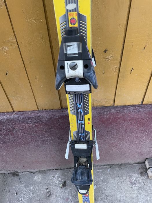 Schiuri FIscher , de competitie