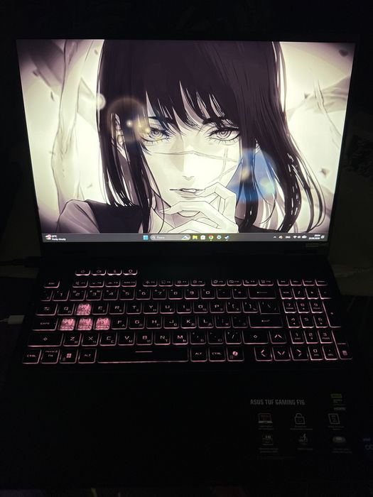 ASUS TUF f16 (i7-14650HX, rtx 5060)