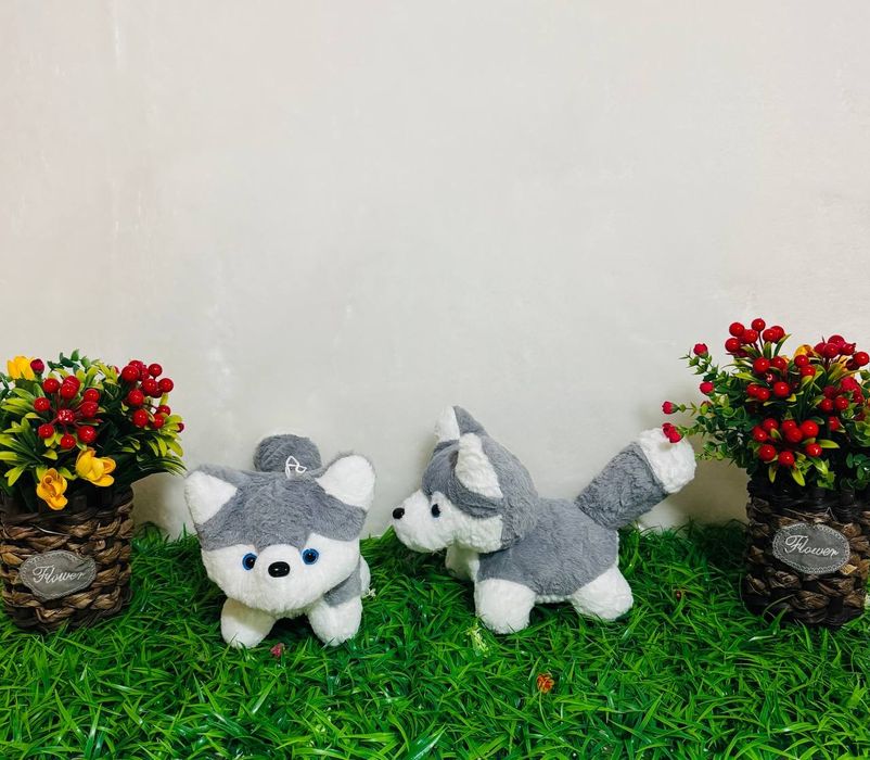 Onchoqlar optim narxda