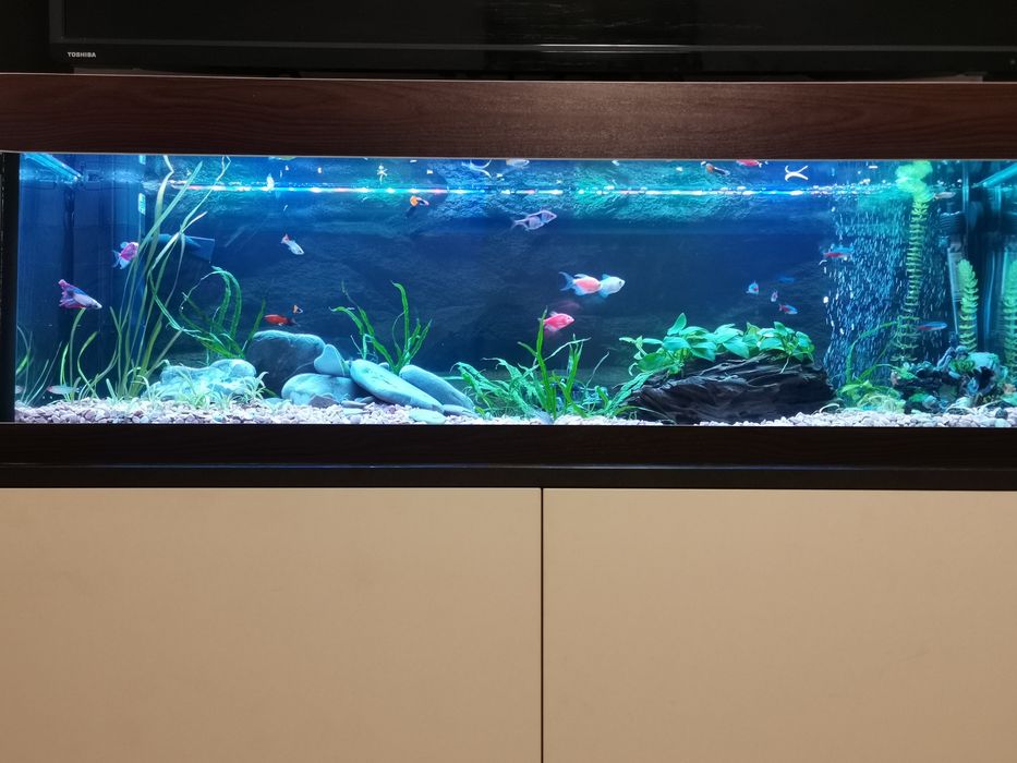 Аквариум 100литра +