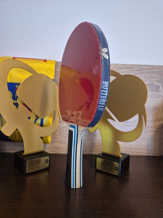 Paletă chinezeasca profi XVT EFECT Max de atac