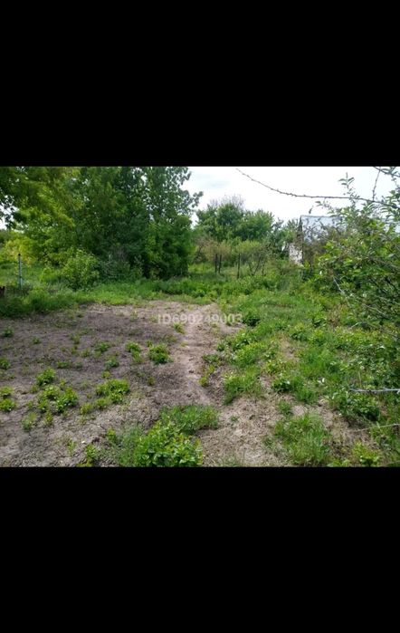 Продам дачный участок