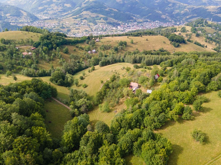 Casă cu grădină, anexe și teren