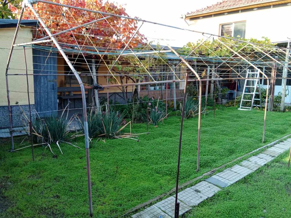 Голяма и Малка Оранжерия