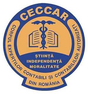 Expert Contabil Judiciar--Timisoara si online oriunde in RO