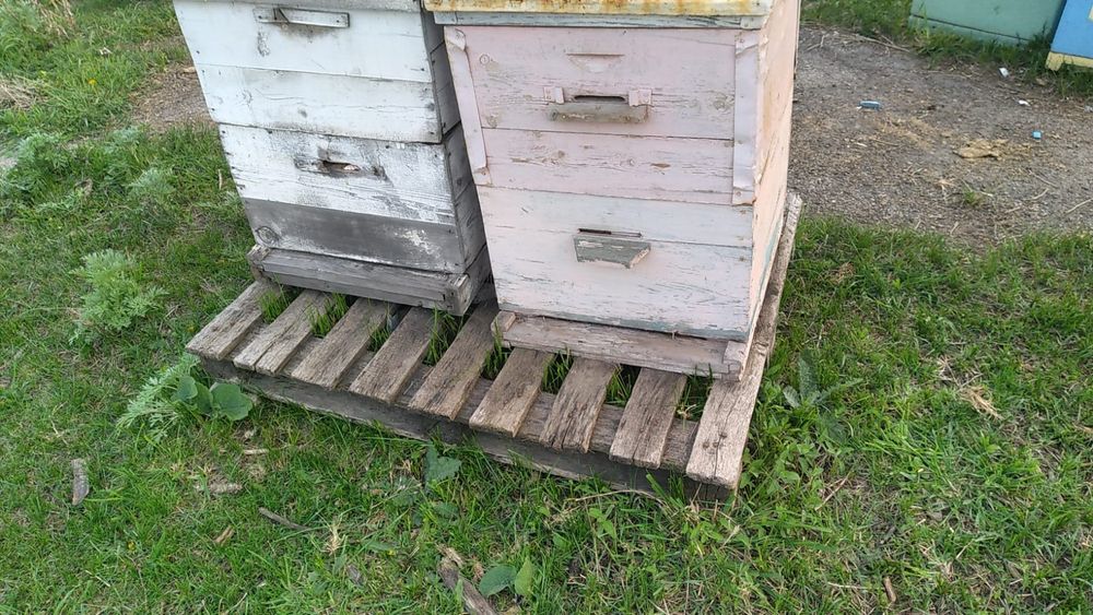 Продам деревянные улья