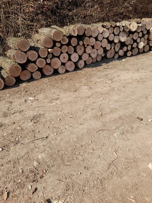 Vând lemne de foc esență tara