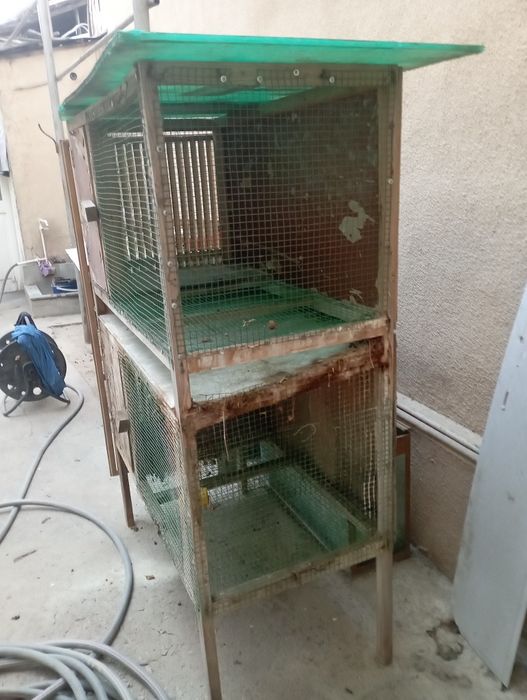 Куенга ин сотилади