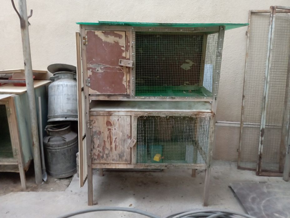 Куенга ин сотилади