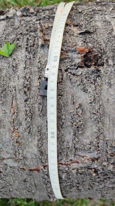 Trunchi bustean lemn cires salbatic lungime 5m pt. sculptura