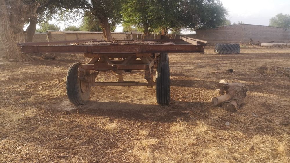 Трактор мтз80,3тележка