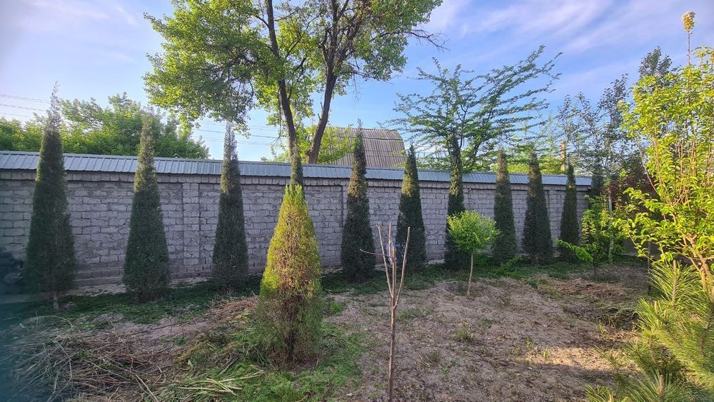 Продаётся дача в Янгиюльском районе