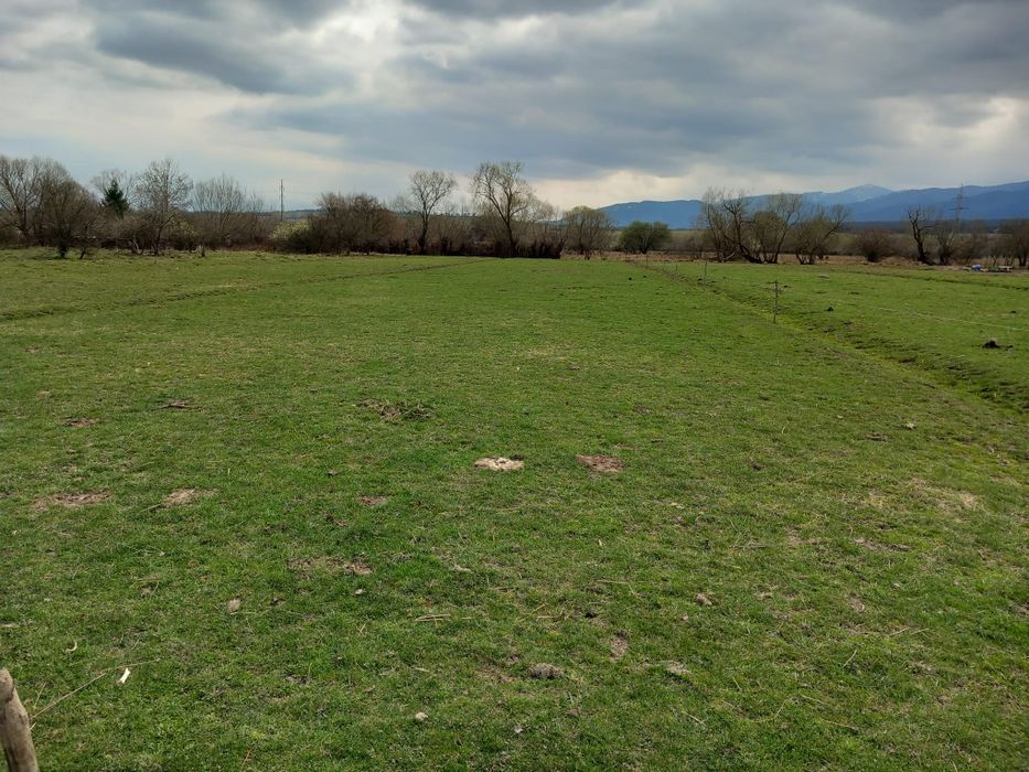 Teren extravilan Lunca Sibiu