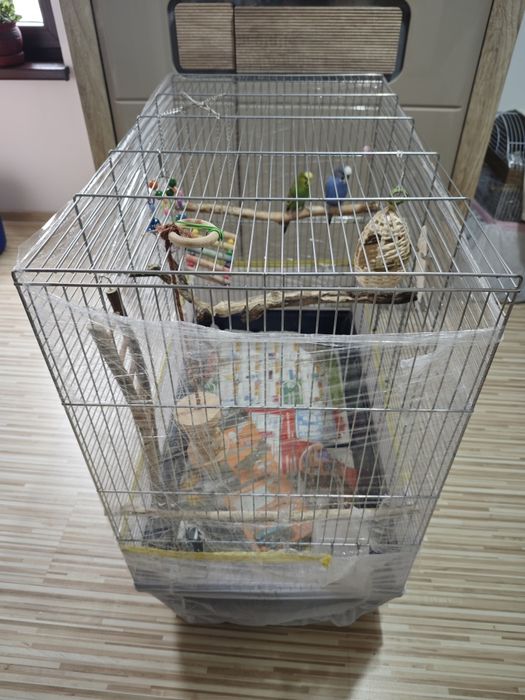 Colivie pentru papagali, peruși, nimfe etc