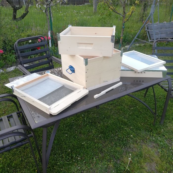 Stupi 10 rame cu cat 1/2