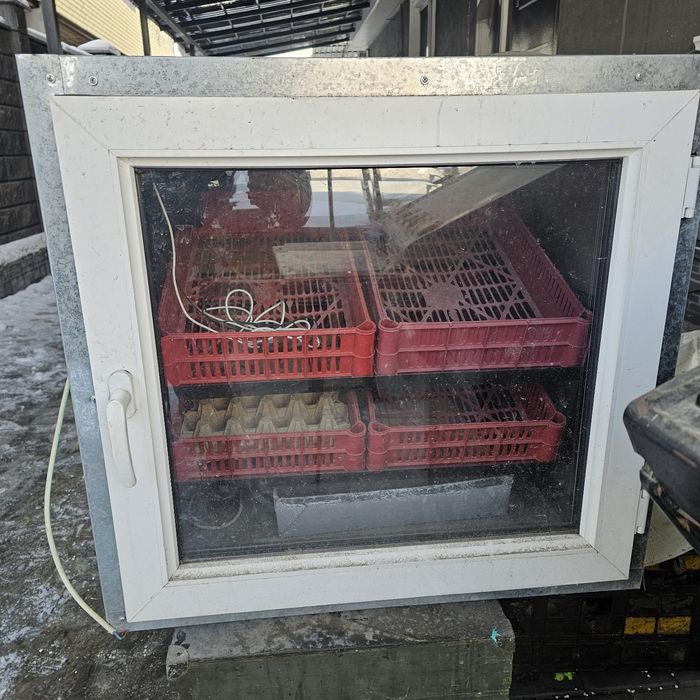 Инкубатор автоматический на 300 гусиных