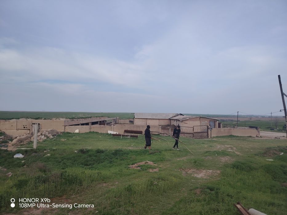 *Шубарсу да кора сатлад