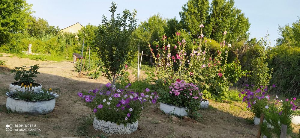 Продажа дома.С/О Химик