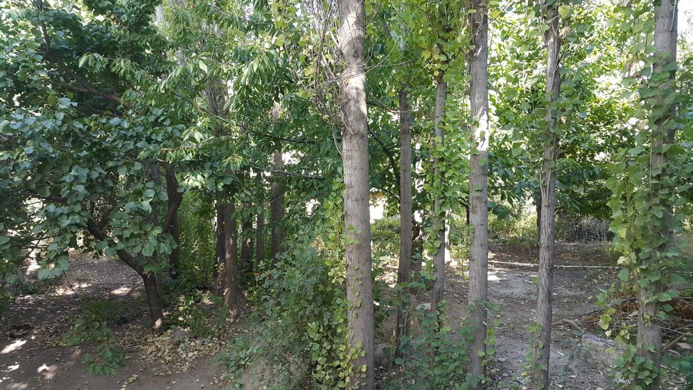 Ер ховли  сотилади